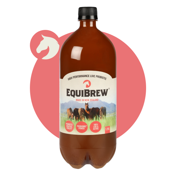 EquiBrew