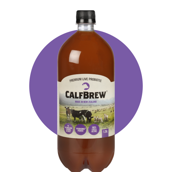 CalfBrew 1.25L