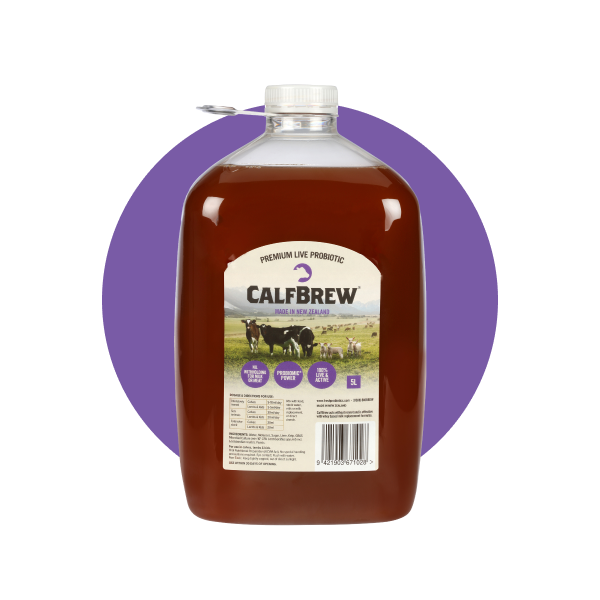 CalfBrew 5L