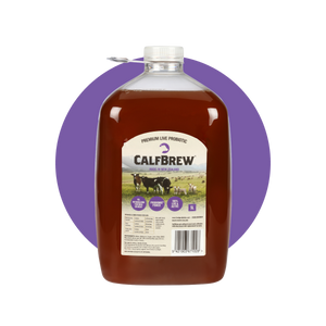 CalfBrew Multipack 4 x 5L