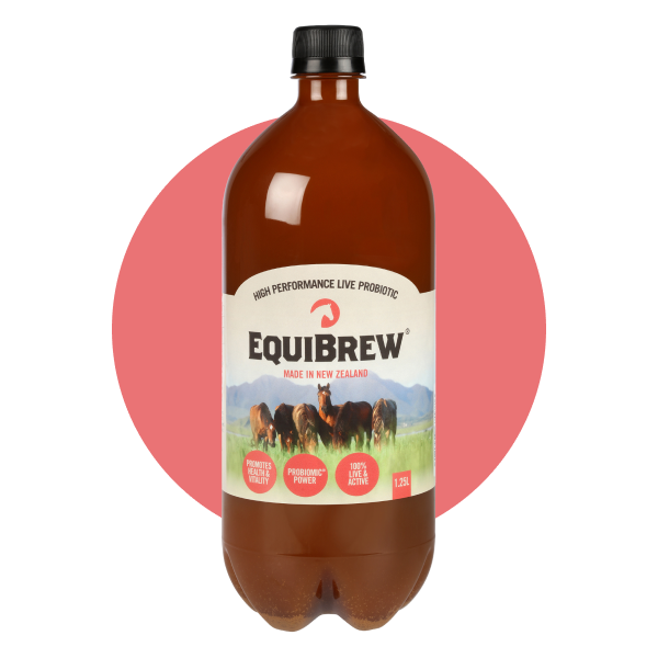 EquiBrew 1.25L Multipack