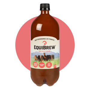 EquiBrew 1.25L Multipack