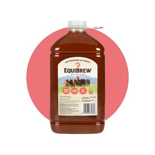 EquiBrew 4L