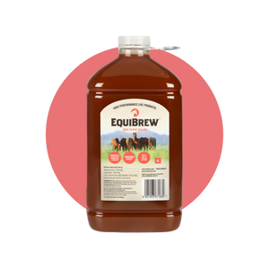 EquiBrew 4L